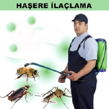 Bigadiç Böcek İlaçlama